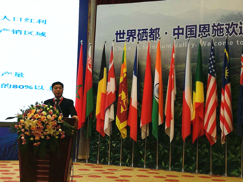 米兰·网站在线官网-米兰(中国)受邀参加2017国际茶业大会  集团董事长毛立民获奖