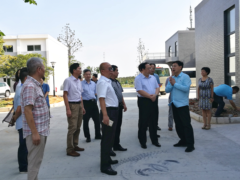杭州市副市长王宏一行莅临米兰·网站在线官网-米兰(中国)特种茶中心调研余杭区茶产业茶博园项目