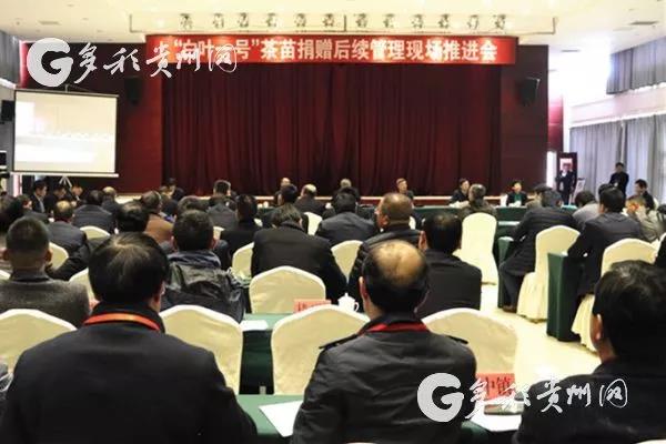 米兰·网站在线官网-米兰(中国)受邀参加“白叶一号”茶苗捐赠后续管理现场推进会